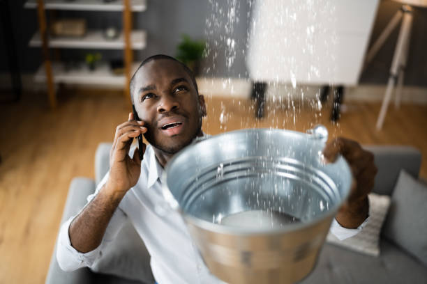 Best Flood damage cleanup  in Clifton Gardens, NY