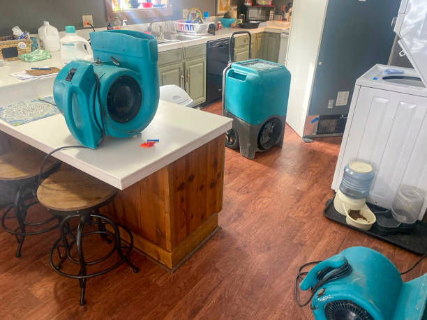 Best Professional water damage repair  in Clifton Gardens, NY