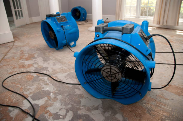 Best Ceiling water damage repair  in Clifton Gardens, NY