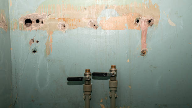 Best Flooded house restoration  in Clifton Gardens, NY