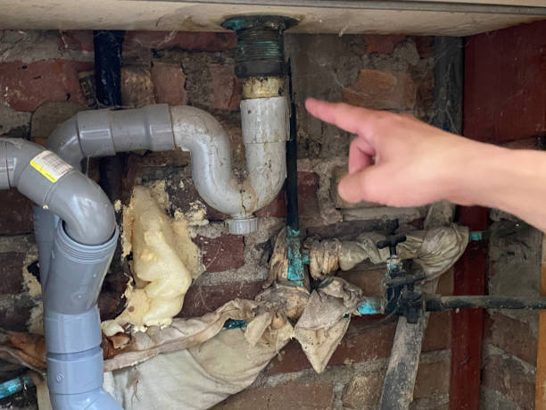 Best Fire Damage Restoration  in Clifton Gardens, NY